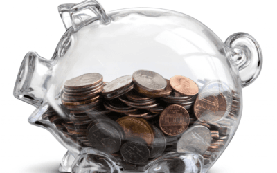 Transparent Piggy Banking Social Media Marketing Theory – 1