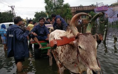Putting Social Media to Good Use – We Need Funds For Chennai Rains – Can You Help?